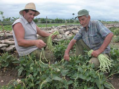 Multimedia villaclareña favorece a productores y especialistas agrícolas