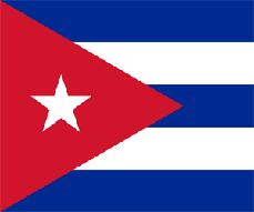 20120121200230-bandera.gif