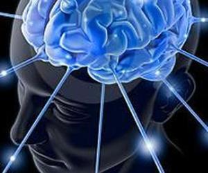 Estudio revela que el cerebro humano es capaz de mantener la eterna juventud