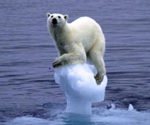 El Ártico enciende las alarmas