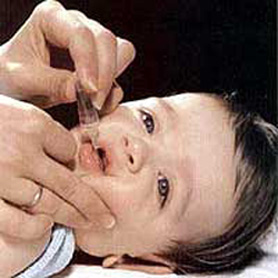 20130305182634-f-vacunas1.jpg