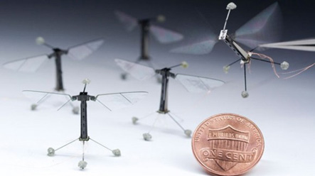 Crean el robot volador más pequeño del mundo