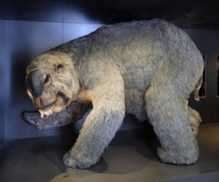 Cambio climático extinguió megafauna australiana