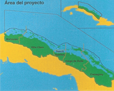 arrastrar Hermano Banquete Fructíferas experiencias en el Ecosistema Sabana—Camagüey | soyquiensoy  (Ricardo R. González)