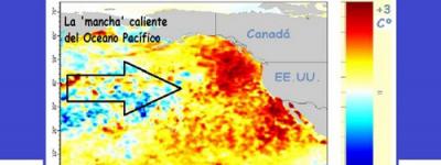 Sigue el misterio sobre la gigantesca 'mancha' de agua caliente del Pacífico