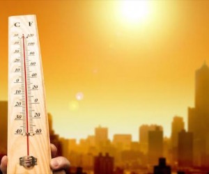 Cambio Climático al rojo vivo: el mundo vive los cinco años más calientes desde 1961