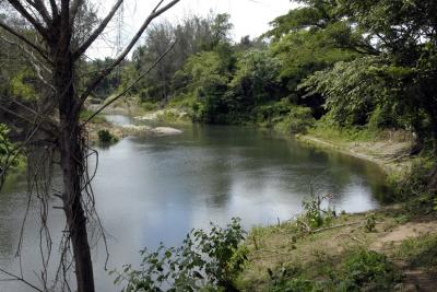 Villa Clara, Destacada en las acciones de preservación del Medio Ambiente