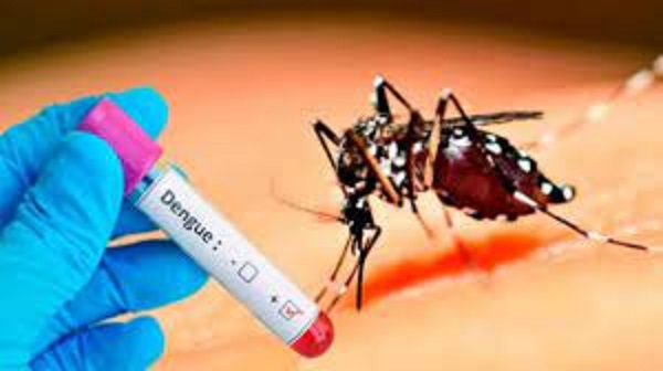 Dengue, lo objetivo y subjetivo en la misma cuerda