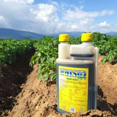 Productores del municipio villaclareño de Santo Domingo utilizan bioestimulante vegetal como aplicación de la ciencia