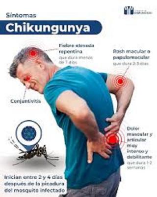 Chikungunya en la mira villaclareña
